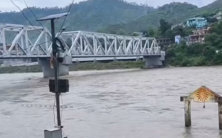 उत्तराखंड: नैथाणा पुल से युवक ने अलकनंदा में छलांग, मच गई अफरातफरी