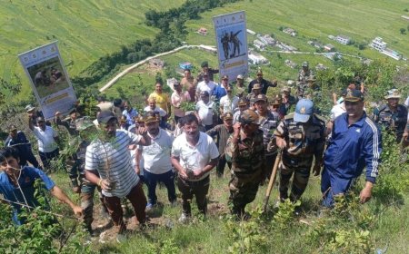 उत्तराखंड समाचार: भूस्खलन पर हरियाली का पहरा, वृक्षारोपण की महत्वाकांक्षी पहल