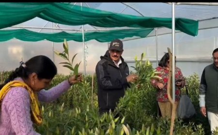 उत्तराखण्ड का आत्मनिर्भरता का सपना: सीएम धामी की पहल से महिलाओं का हो रहा सशक्तिकरण