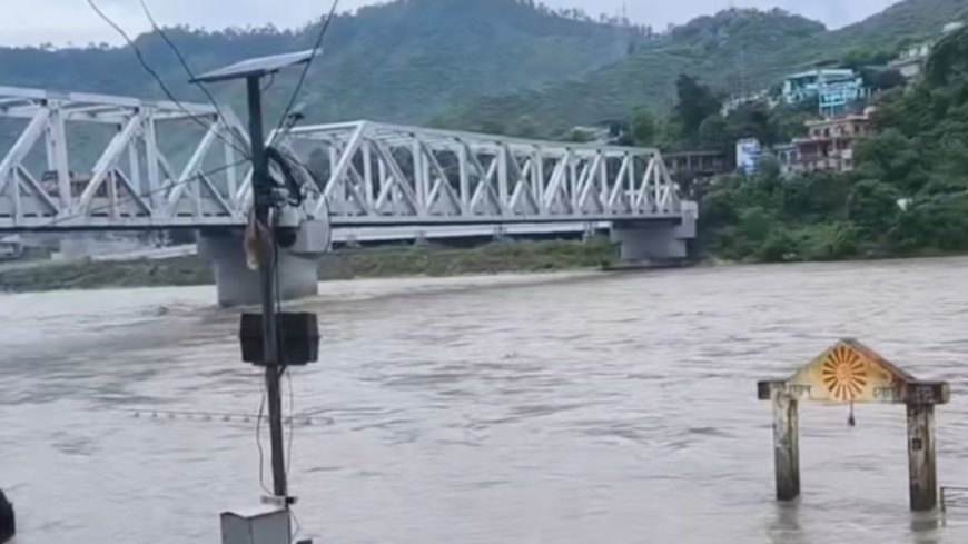 उत्तराखंड: नैथाणा पुल से युवक ने अलकनंदा में छलांग, मच गई अफरातफरी