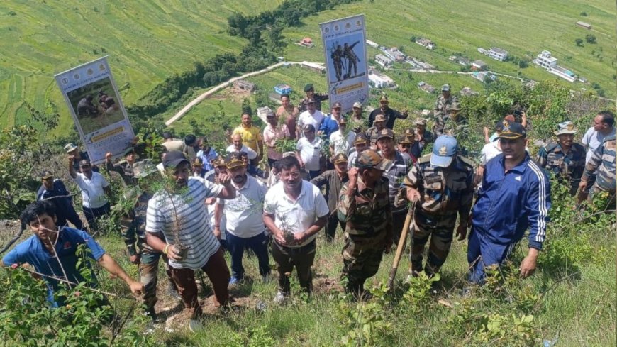 उत्तराखंड समाचार: भूस्खलन पर हरियाली का पहरा, वृक्षारोपण की महत्वाकांक्षी पहल