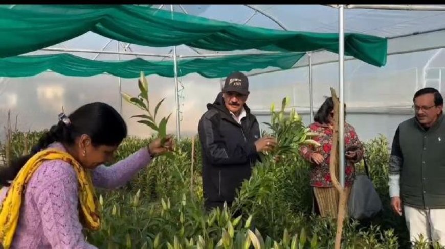 उत्तराखण्ड का आत्मनिर्भरता का सपना: सीएम धामी की पहल से महिलाओं का हो रहा सशक्तिकरण