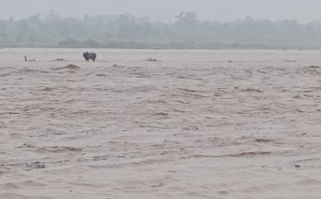 हल्द्वानी में गौला नदी का जलस्तर 55 हजार क्यूसेक पार, NHAI के चेक डेम हुए क्षतिग्रस्त