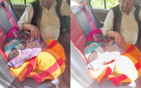 Chamoli News: देवाल गांव में जंगली सुअर के हमले से महिला गंभीर रूप से घायल, वन विभाग ने दी मदद