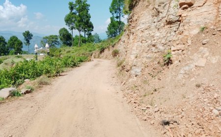 चंपावत: लुवाकोट-एड़ीधूरा सड़क मार्ग के शेष 3 किमी डामरीकरण की उठी मांग