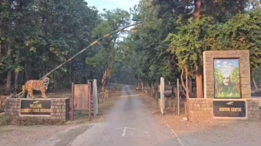 कॉर्बेट टाइगर रिज़र्व में फुल डे सफारी की वापसी, प्रशासन ने भेजा महत्वपूर्ण प्रस्ताव
