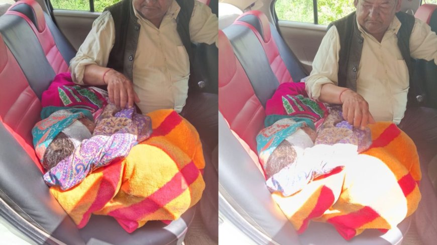 Chamoli News: देवाल गांव में जंगली सुअर के हमले से महिला गंभीर रूप से घायल, वन विभाग ने दी मदद