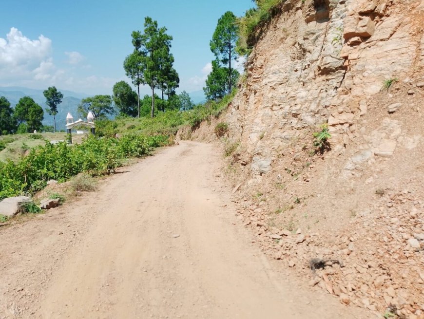 चंपावत: लुवाकोट-एड़ीधूरा सड़क मार्ग के शेष 3 किमी डामरीकरण की उठी मांग