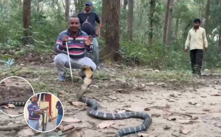 देहरादून में दिखा विशाल सांप, विशेषज्ञ ने किया चौंकाने वाला काम, पढ़िए पूरा किस्सा