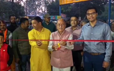 Nainital: कॉर्बेट में सफारी का सीजन हुआ शुरू, बिजरानी जोन ने खोला दरवाजा; जानें पूरी जानकारी