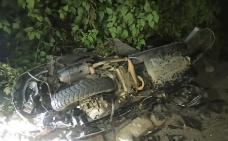 उत्तराखंड : अज्ञात वाहन की टक्कर से स्कूटी गिरी खाई में, महिला की हुई मौत