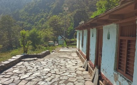 उत्तराखण्ड के विकास की असली तस्वीर: स्वतंत्रता सैनानी का गांव आज भी बेहाल, प्रशासन की खुली पोल