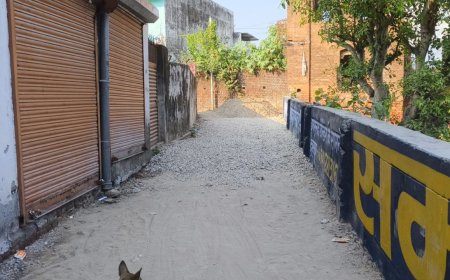 Uttarakhand: डोईवाला नगर पालिका की बड़ी लापरवाही, निजी भूमि पर बना दी सड़क, जमीन मालिक ने जताई आपत्ति