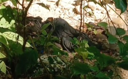 रामनगर जंगल में मिला बुजुर्ग का शव, परिवार में फैली चिंता और दहशत, जानें क्या है मामला