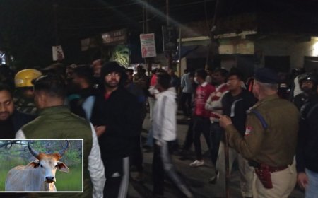 Haldwani News: हल्द्वानी में गोवंश का सिर मिलने से तनाव, वायरल वीडियो ने गांव में मचाया हड़कंप