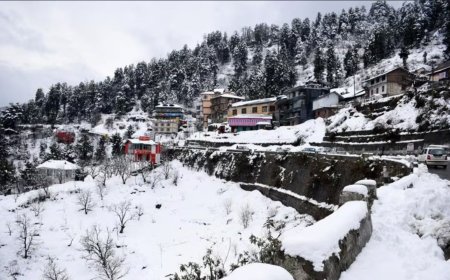 देवभूमि में कोरी ठंड का प्रकोप: पाला और कोहरे ने बढ़ाई मुसीबत, जानें आज का मौसम हाल