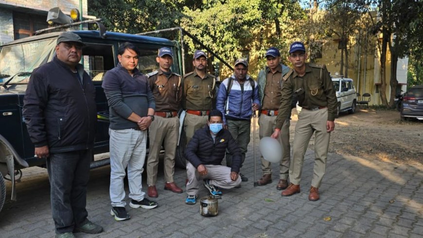 रुद्रप्रयाग में हिमालयन गोरल शिकार मामला: वन विभाग की कार्रवाई से आरोपी हिरासत में, जानें कैसे पकड़ा गया बदमाश