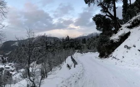 कड़ाके की ठंड ने बढ़ाई मुश्किलें: Uttarakhand में 0°C तक पहुंचा तापमान, धुंध-पाला का बड़ा अलर्ट