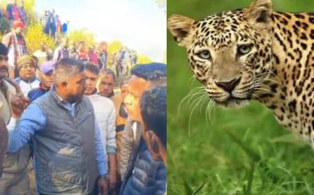 उत्तराखंड: पहाड़ में कौन बचाए, एक और ग्रामीण को गुलदार ने मार डाला