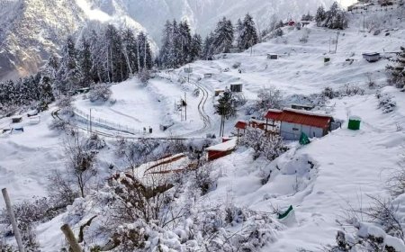 उत्तराखंड में ठंड ने बढ़ाई कंपकंपी: पहाड़ों में पाला, बारिश-बर्फबारी की दस्तक; मौसम विभाग ने जारी किया अलर्ट