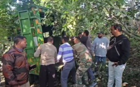 Nainital: पर्यटकों की लापरवाही एक बेजुबान पर पड़ी भारी, ऐसे बची सांभर डियर की जान