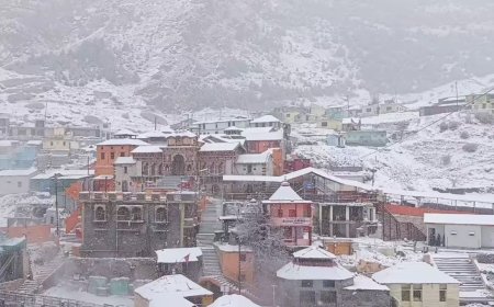 उत्तराखंड में सर्द हवाओं का असर, बर्फबारी और बारिश से बढ़ेगा ठंड का एहसास; जानें आज कैसा रहेगा मौसम