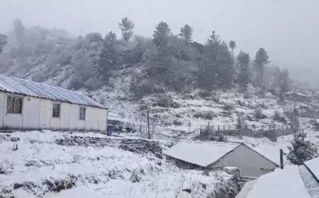 बारिश गायब, ठंड हावी: उत्तराखंड में बदला मौसम का मिजाज, पहाड़ों पर बर्फबारी के आसार