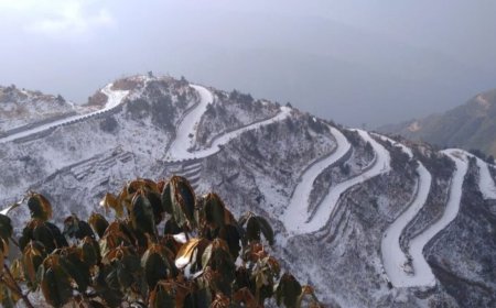 उत्तराखंड में मौसम को लेकर बड़ा संकेत, पश्चिमी विक्षोभ की एंट्री, बारिश-बर्फबारी की संभावना