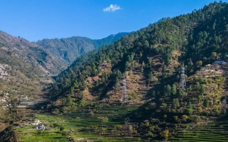 उत्तराखंड में ठंड का कहर: पहाड़ों में पाला, मैदानी इलाकों में घना कोहरा, IMD का ऑरेंज अलर्ट