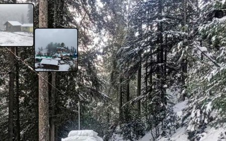 Uttarakhand Weather: उत्तराखंड में मौसम को लेकर क्यों बढ़ी हलचल? जानिए IMD रिपोर्ट का ताजा हाल