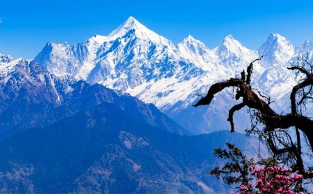 Uttarakhand Weather Update: मैदानी इलाकों में घना कोहरा, पहाड़ों पर धूप लेकिन रातें सर्द