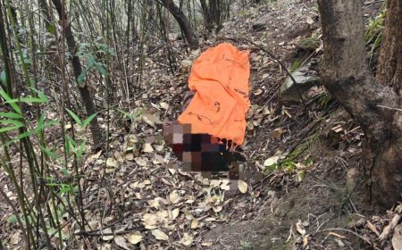 Nainital News: तेंदुए का बढ़ता कहर, घर के पास महिला पर हमला, पूरे क्षेत्र में दहशत