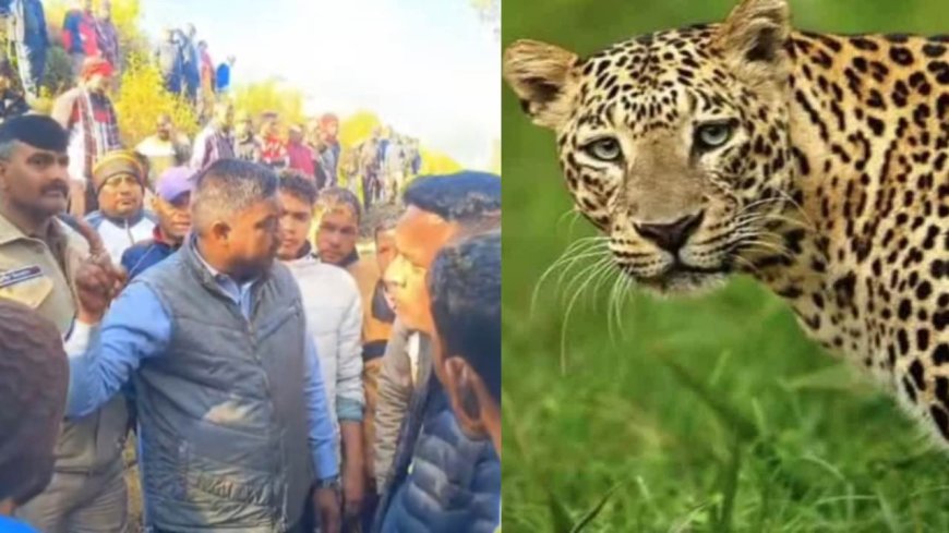 उत्तराखंड में गुलदार का आतंक: एक और ग्रामीण की दर्दनाक हत्या