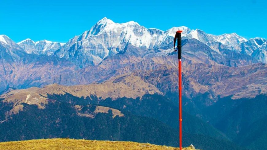उत्तराखंड में कड़ाके की ठंड: शुष्क मौसम से तापमान में गिरावट, कई जिलों में कोहरा अलर्ट
