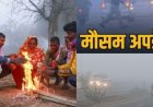 Weather: उत्तराखंड में आज का मौसम पूर्वानुमान, पाला- कोहरे से 3 डिग्री गिरा तापमान, कोल्ड डे अलर्ट इन जिलों में