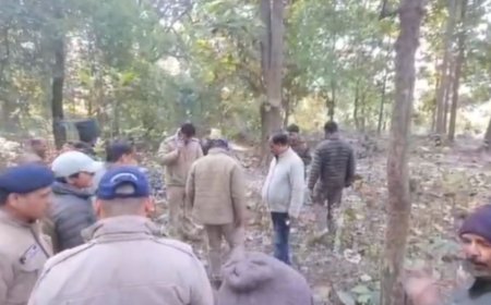 रामनगर में बाघ का कहर: सड़क से उठाकर जंगल में घसीटा, मिला शव