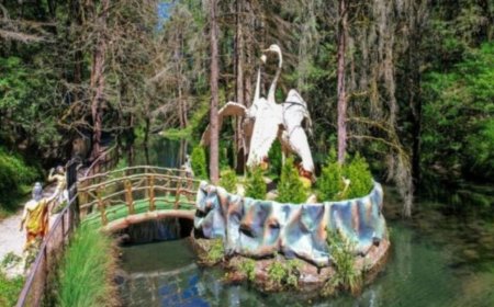 नैनीताल के नयना देवी रिजर्व में विदेशी परिंदों की चहल-पहल, बर्ड वॉचिंग का नया मकाम