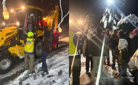 उत्तराखण्ड: बर्फबारी के दौरान SDRF की प्रभावी कार्रवाई, सैकड़ों लोगों को सुरक्षित निकाला