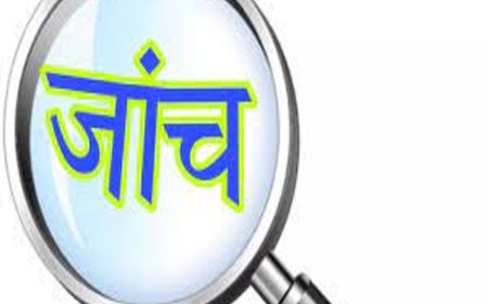 उत्तराखंड: डीएलएड की जांच में फंसे उत्तर प्रदेश के शिक्षक - सच्चाई सामने आएगी