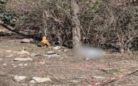 Dehradun Crime News: विकासनगर में खौफनाक वारदात, छात्रा की धारदार हथियार से निर्मम हत्या