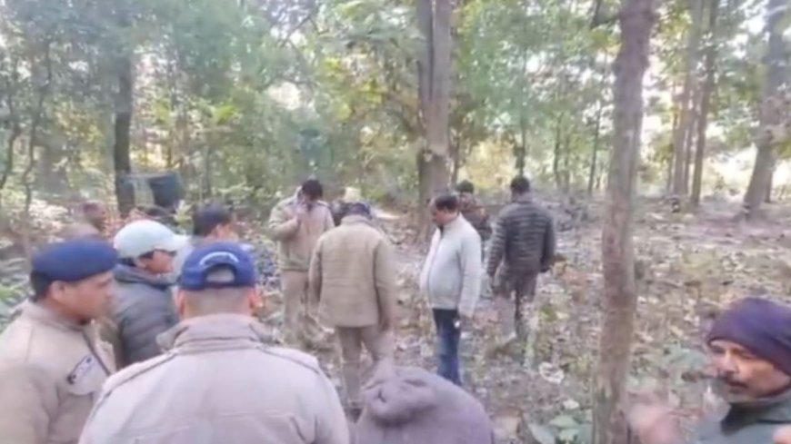 रामनगर में बाघ का कहर: सड़क से उठाकर जंगल में घसीटा, मिला शव
