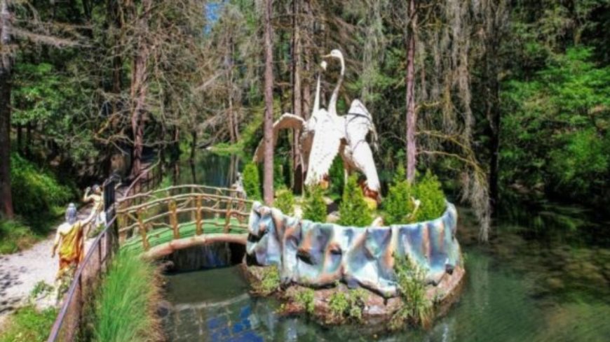 नैनीताल के नयना देवी रिजर्व में विदेशी परिंदों की चहल-पहल, बर्ड वॉचिंग का नया मकाम