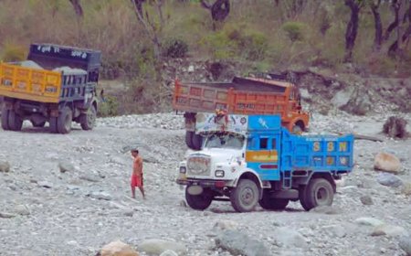 Udham Singh Nagar: वनकर्मियों को ट्रैक्टर-ट्राॅली से कुचलने की कोशिश, बाल-बाल बचे, जानिये क्या है मामला