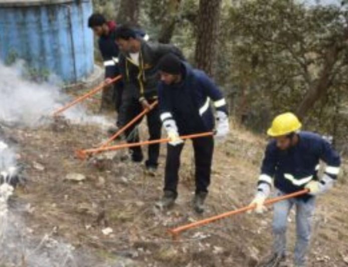 Forest Fire Alert: नैनीताल और हल्द्वानी में आपात प्रतिक्रिया की मॉक टेस्टिंग, यहां जाने पूरी खबर…