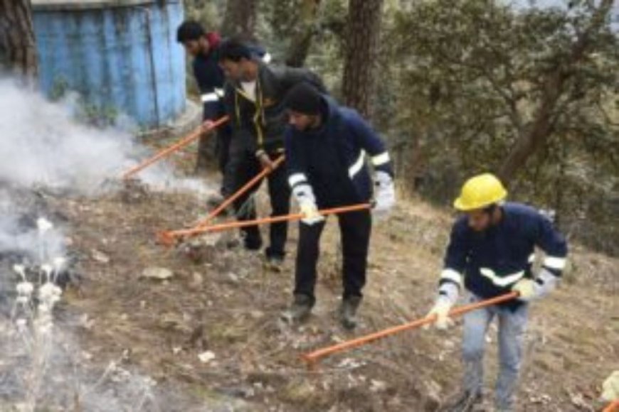 Forest Fire Alert: नैनीताल और हल्द्वानी में आपात प्रतिक्रिया की मॉक टेस्टिंग, यहां जाने पूरी खबर…