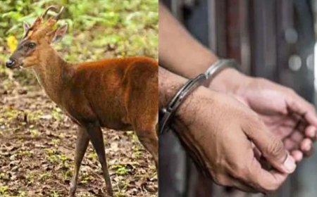 रुद्रप्रयाग: हिरण का शिकार करना पड़ा महंगा, वन विभाग ने 14 लोग को किया गिरफ्तार