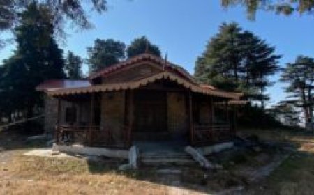 पहाड़ों में अचानक कैसे भड़की आज़ादी की लहर? जानिए गांधी के नैनीताल पहुंचने की कहानी