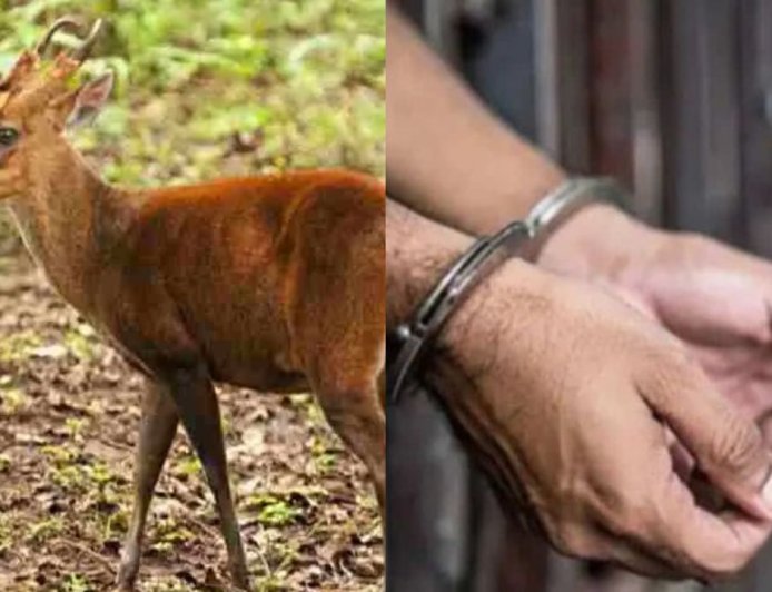 रुद्रप्रयाग: हिरण का शिकार करना पड़ा महंगा, वन विभाग ने 14 लोग को किया गिरफ्तार