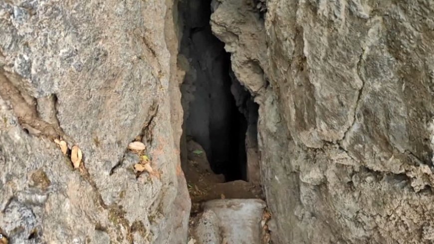 नैनीताल में छुपा है ‘फ्री AC’! बिना पैसे खर्च किए यहां मिलती है ऐसी ठंडक, जानकर रह जाएंगे हैरान