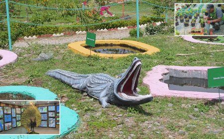 देहरादून का नया पर्यटकीय आकर्षण: जोली ग्रांट वन अनुसंधान रेंज की अद्भुत विशेषताएं